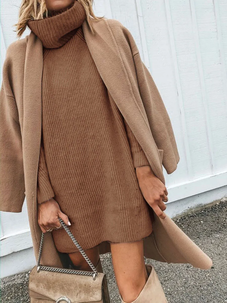 Casual Solid Color Turtleneck Long Sweater