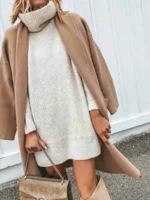 Casual Solid Color Turtleneck Long Sweater