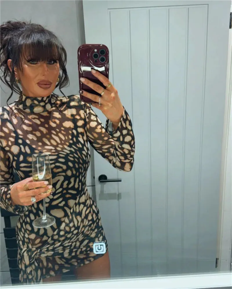 Mesh Leopard Print Turtleneck Mini Dress