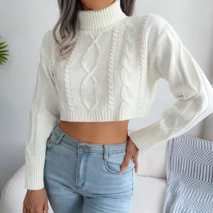 Mixed Knit Turtleneck Cropped Sweater