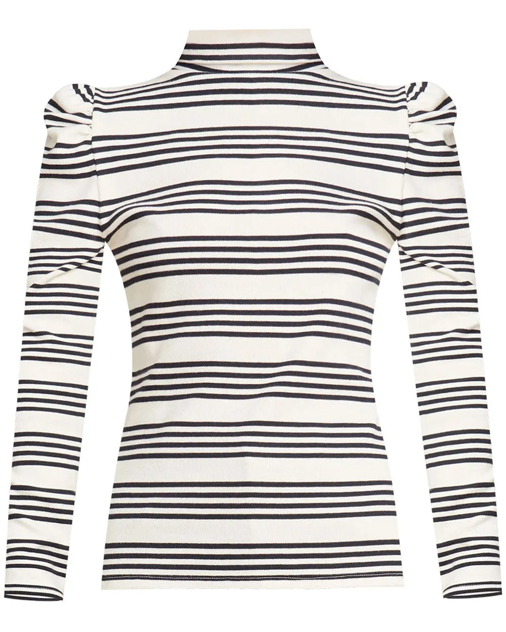 Navy Stripe Cedar Turtleneck