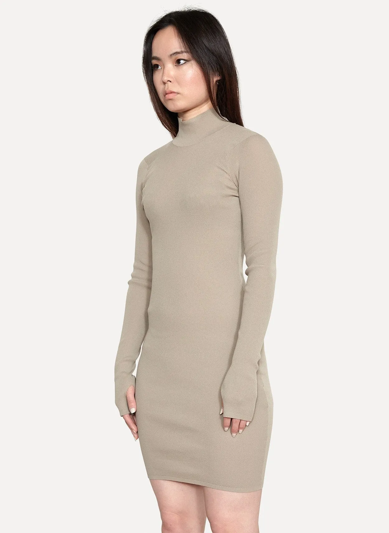 Ribbed Turtleneck Dress Desert Light