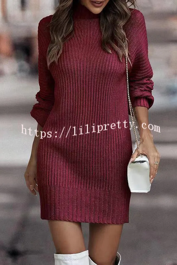 Rieuh Turtleneck Long Sleeve Knitted Mini Dress