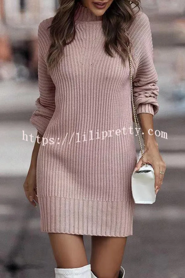 Rieuh Turtleneck Long Sleeve Knitted Mini Dress