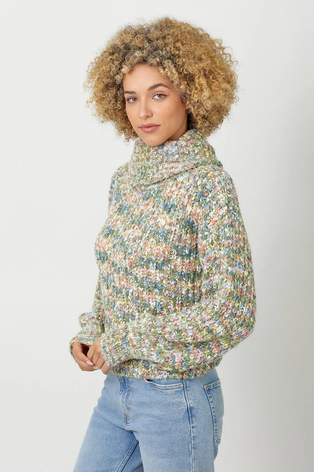 Turtleneck Cropped Sweater