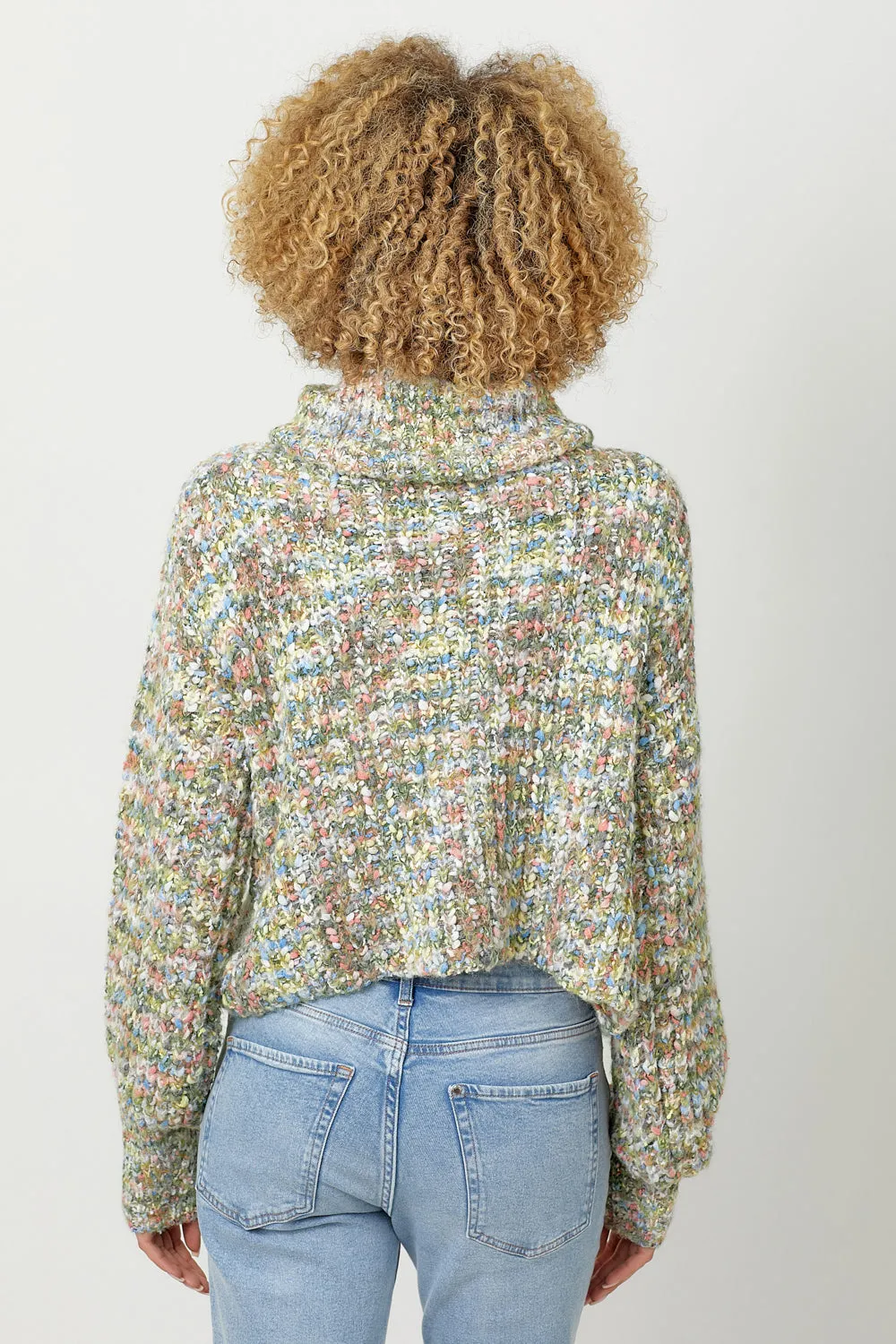 Turtleneck Cropped Sweater