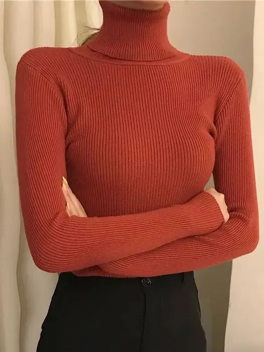 Turtleneck Sweater | Frostine