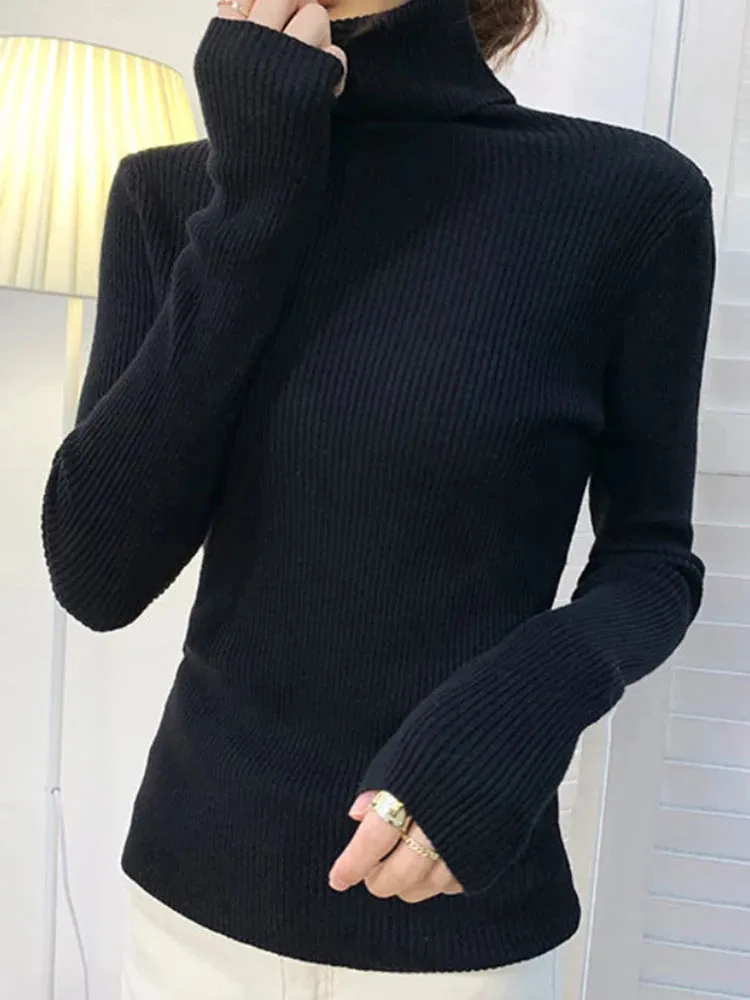 Turtleneck Sweater | Frostine